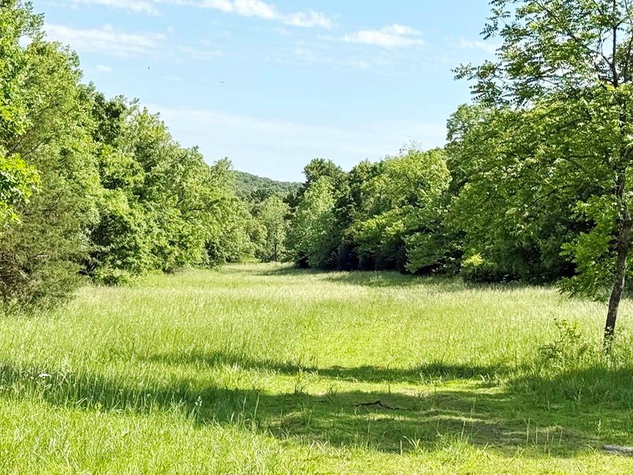 Tbd E 500 Road Property Photo 9