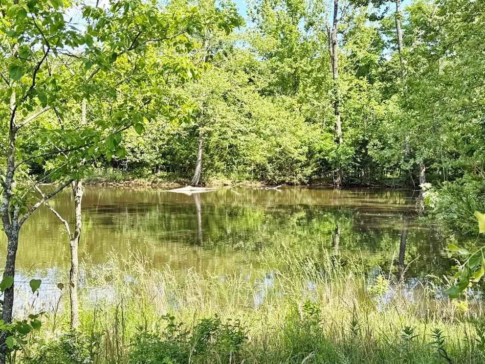 Tbd E 500 Road Property Photo 10