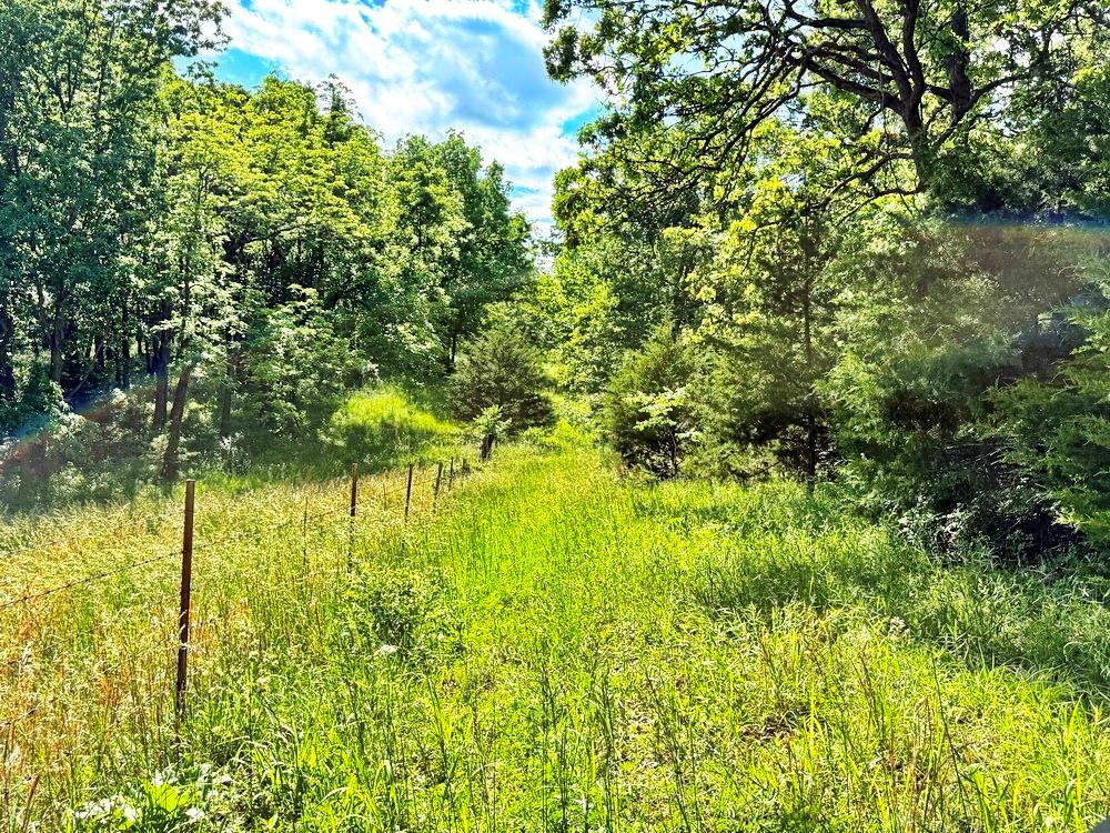 Tbd E 500 Road Property Photo 14