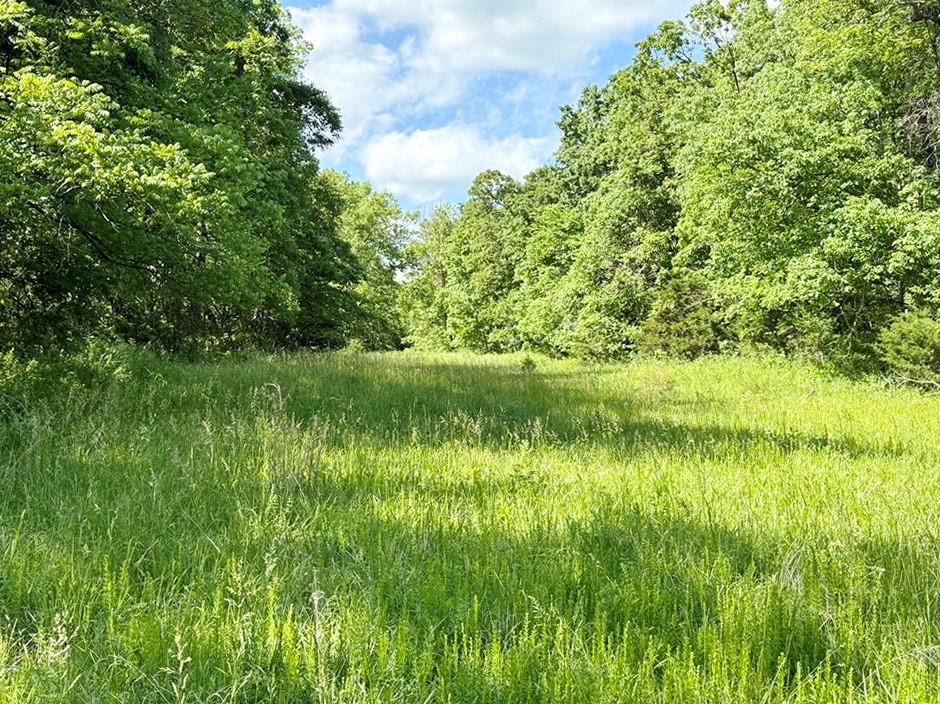 Tbd E 500 Road Property Photo 18