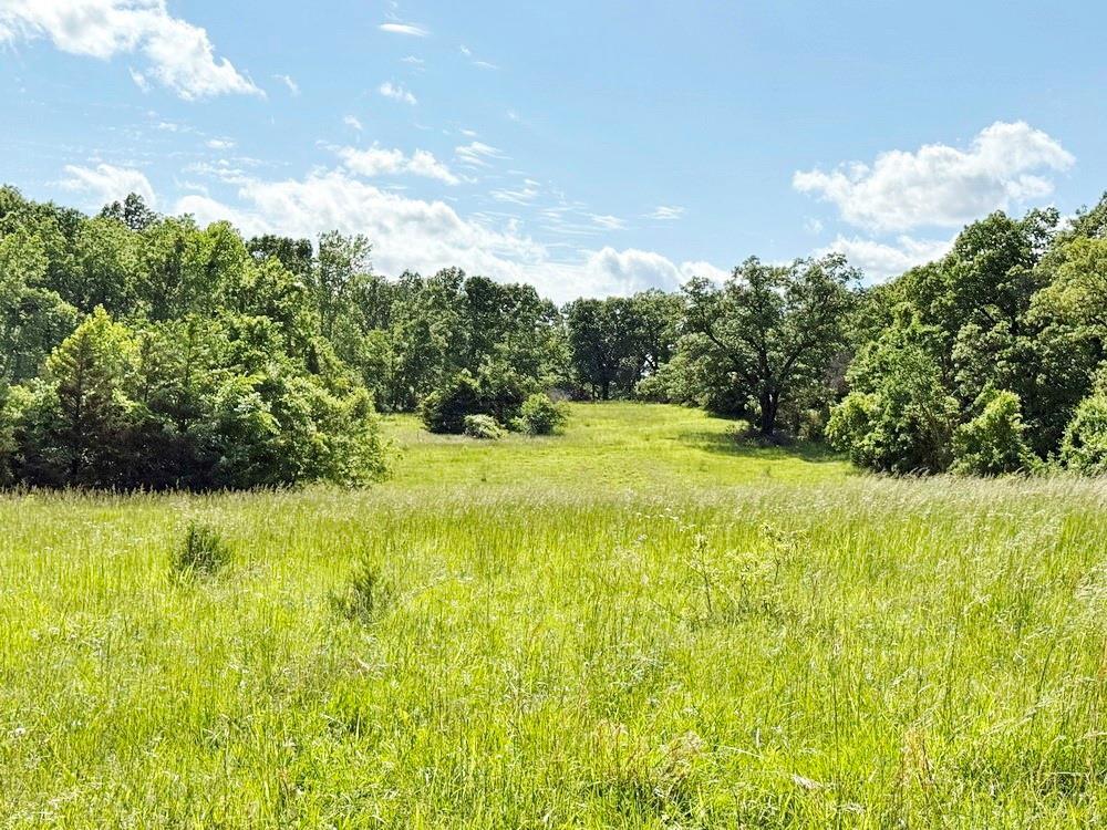 Tbd E 500 Road Property Photo 22