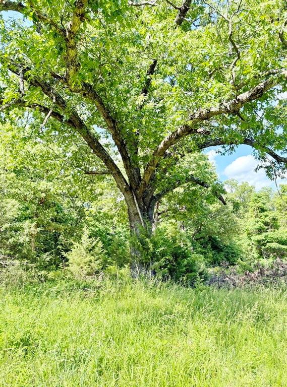 Tbd E 500 Road Property Photo 28