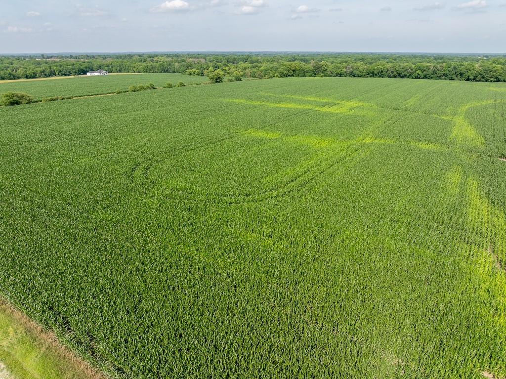 S Staley Mound Rd Road Property Photo 13