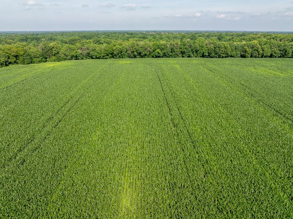 S Staley Mound Rd Road Property Photo 15