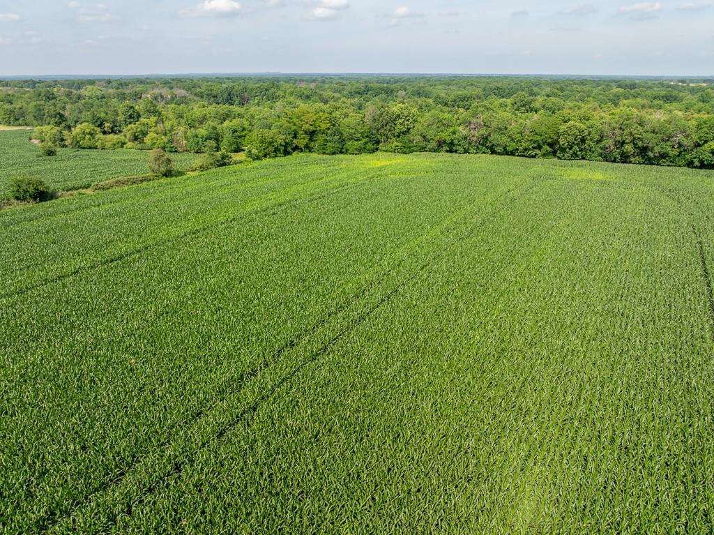 S Staley Mound Rd Road Property Photo 16