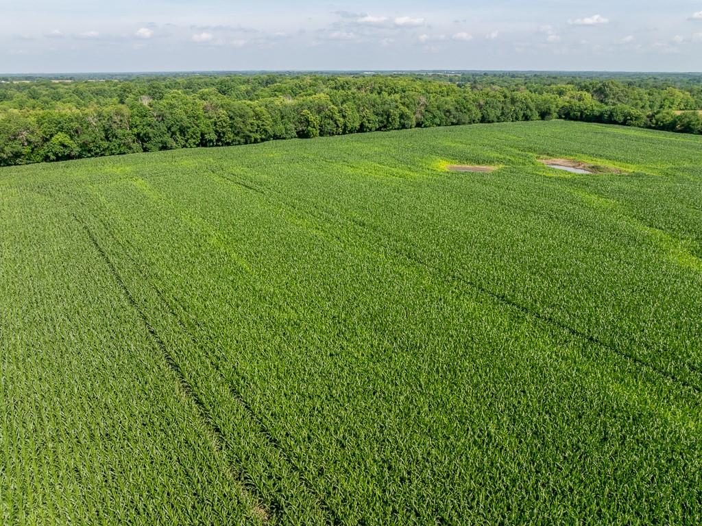 S Staley Mound Rd Road Property Photo 17