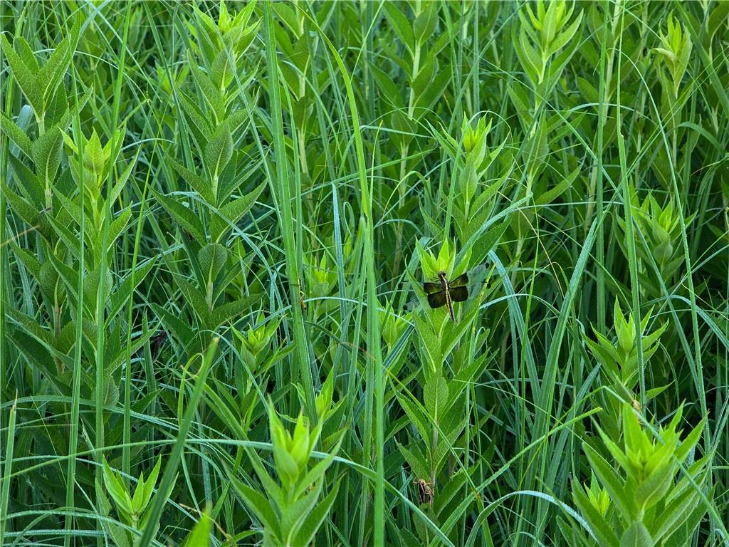 3200 K Road Property Photo 7