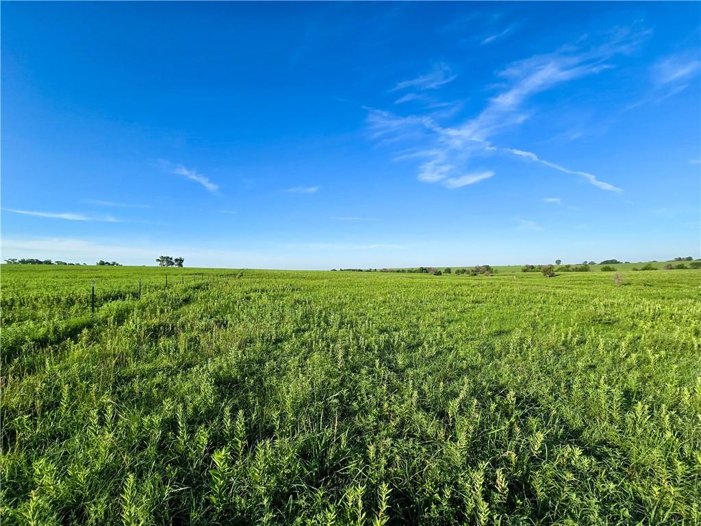 3200 K Road Property Photo 10