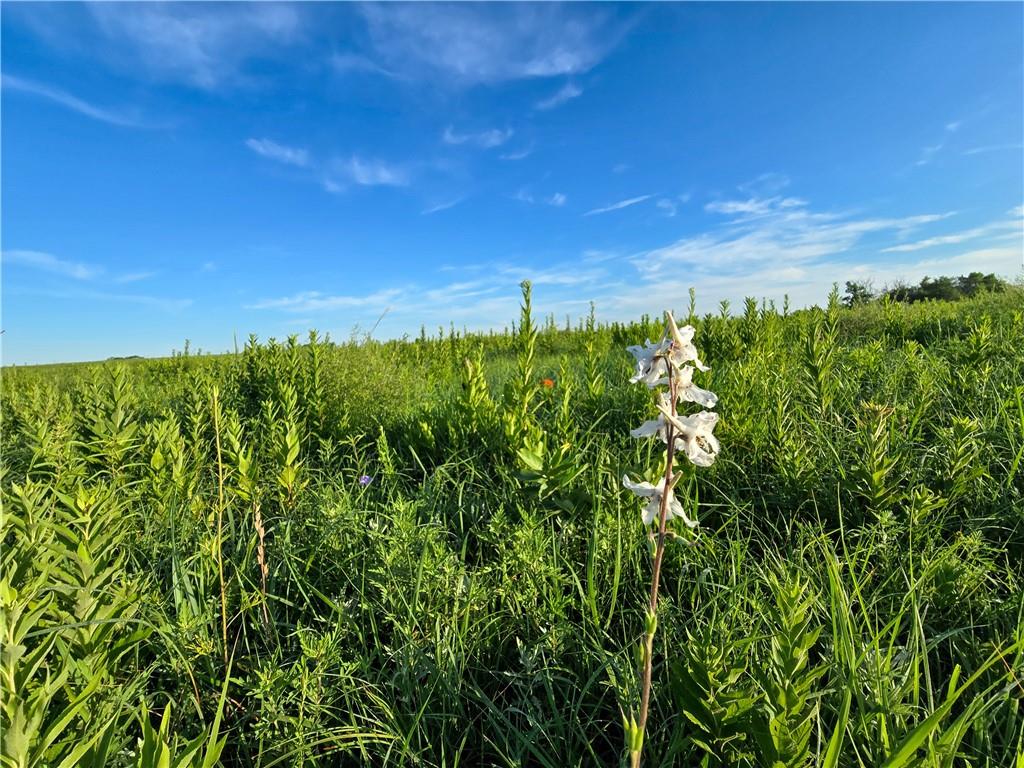 3200 K Road Property Photo 23