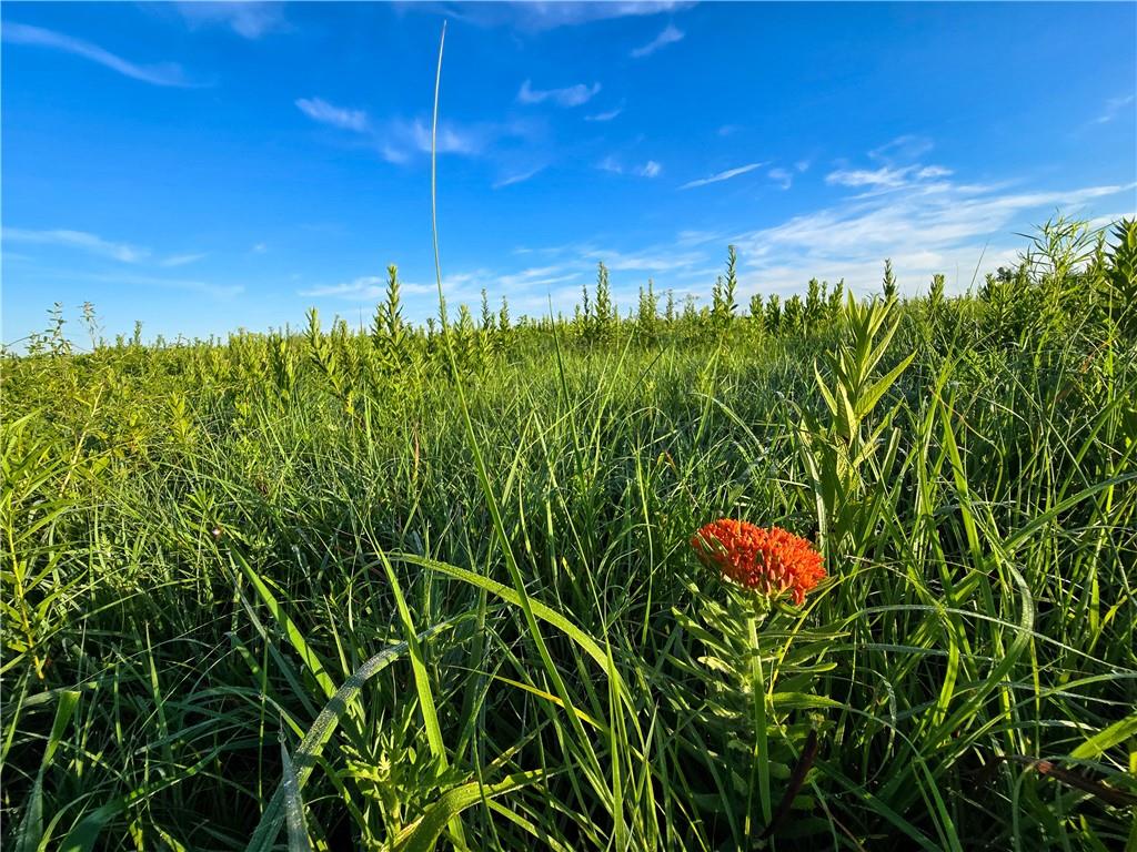 3200 K Road Property Photo 24