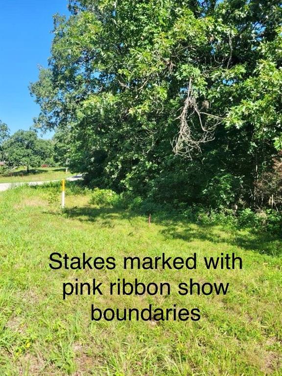 Bobcat Drive Property Photo