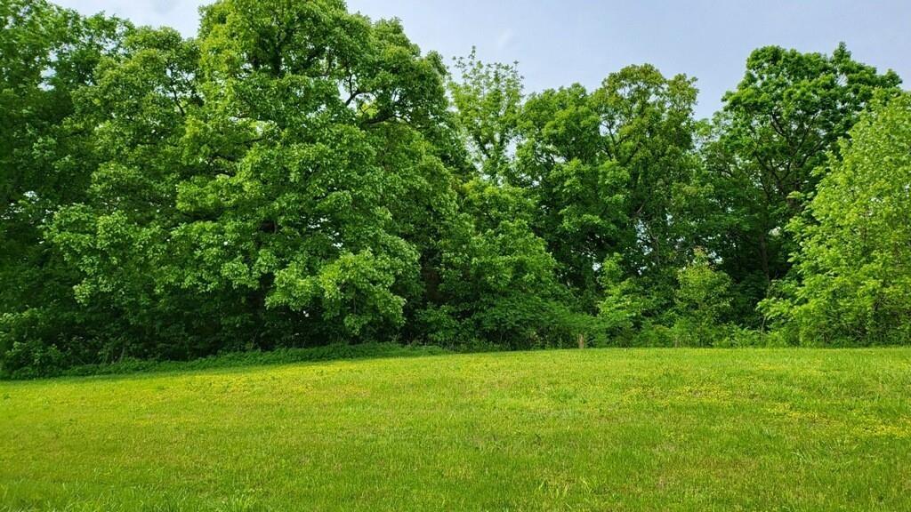 Lot 19 TBD SE Holstein Drive Property Photo 1