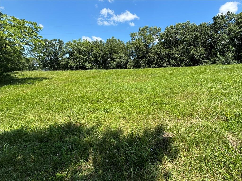 Lot 1155 Lake Viking Terrace Property Photo 4