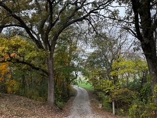 14309 Plattsburg Road Property Photo 33