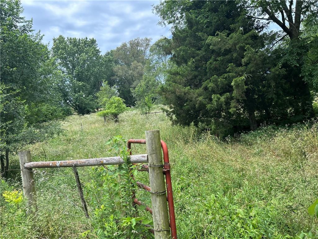 34908 E Shores Road Property Photo 28