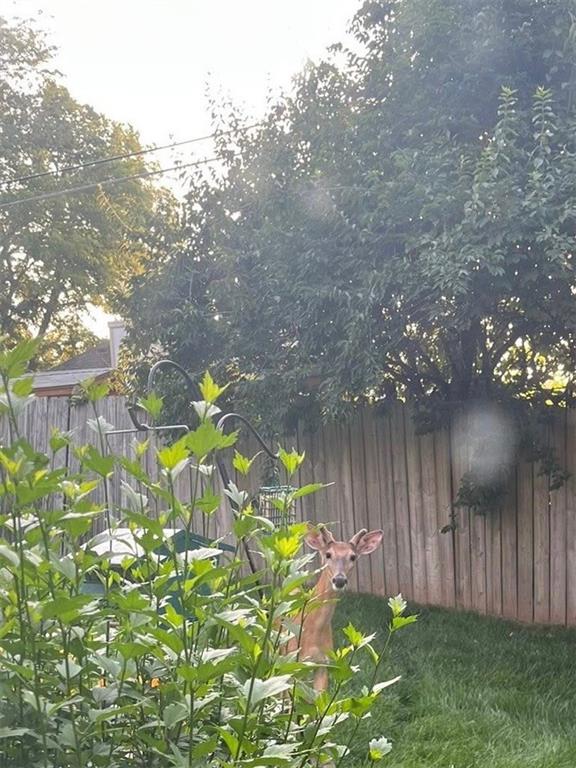 4317 Coachman Drive Property Photo 26