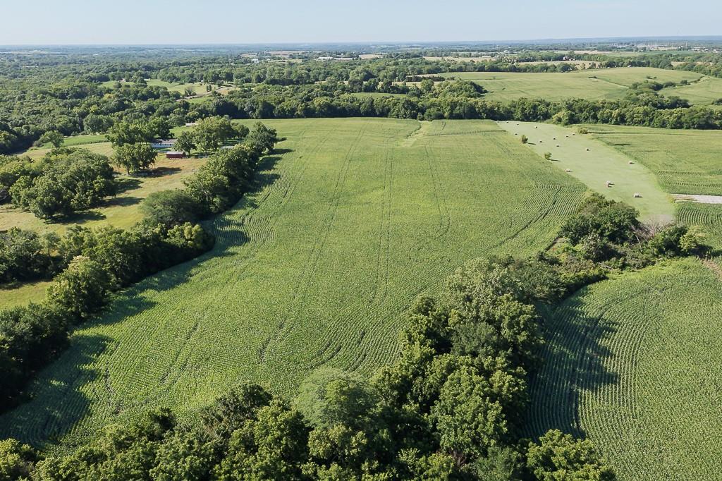 52 Acres Springdale Road Property Photo