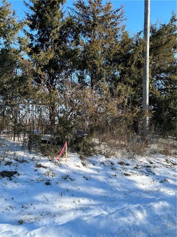 12297 Orrick Road Property Photo 2