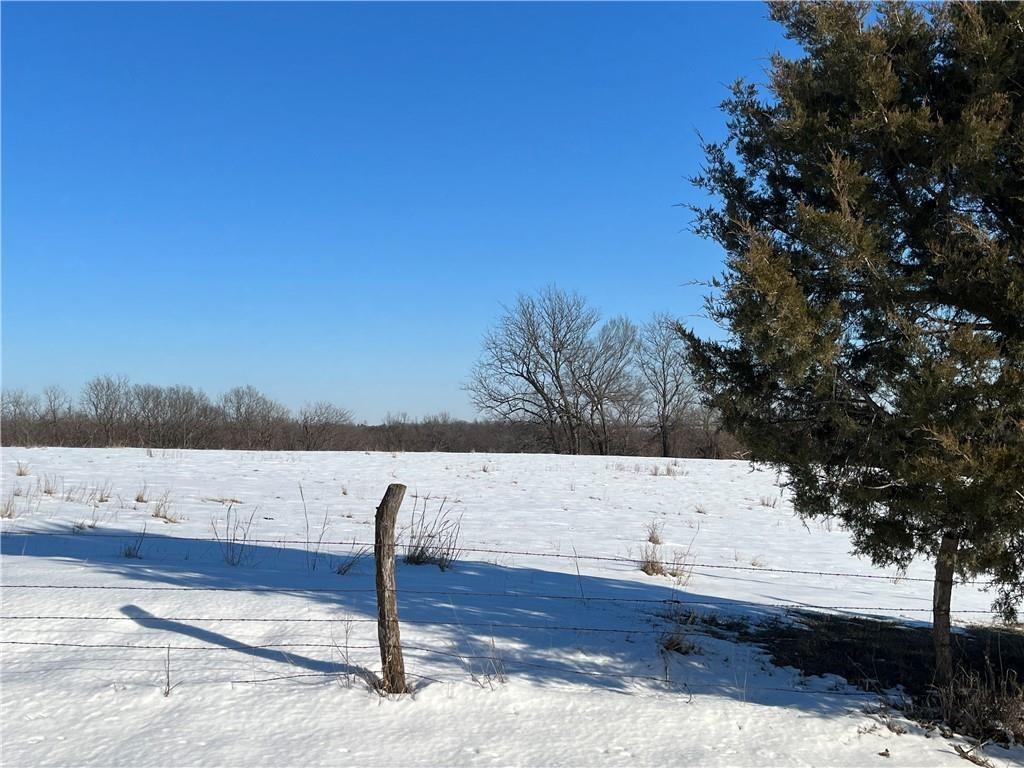 12297 Orrick Road Property Photo 3
