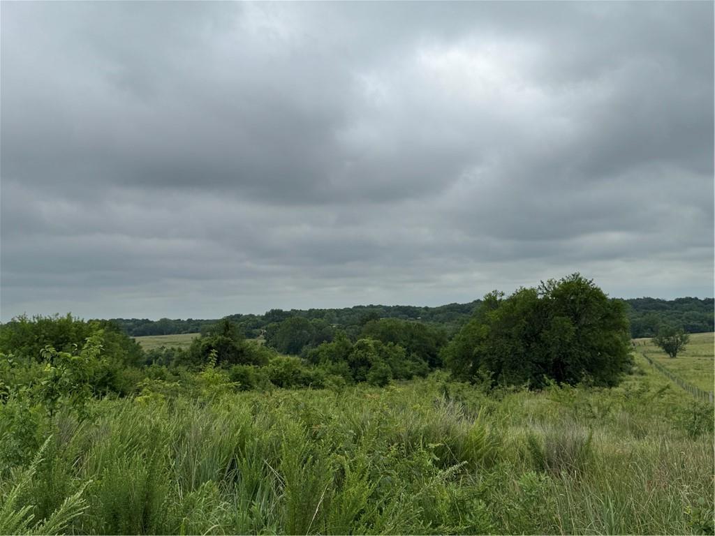 23428 Guthrie Road Property Photo 4