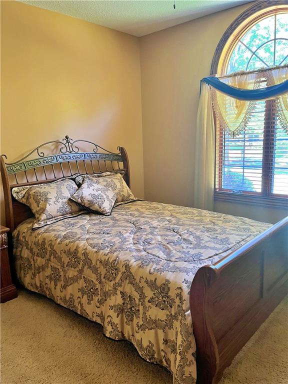 107 W Mckinley Street Property Photo 19