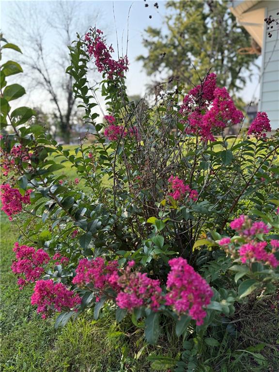 801 Overbrook Drive Drive Property Photo 34
