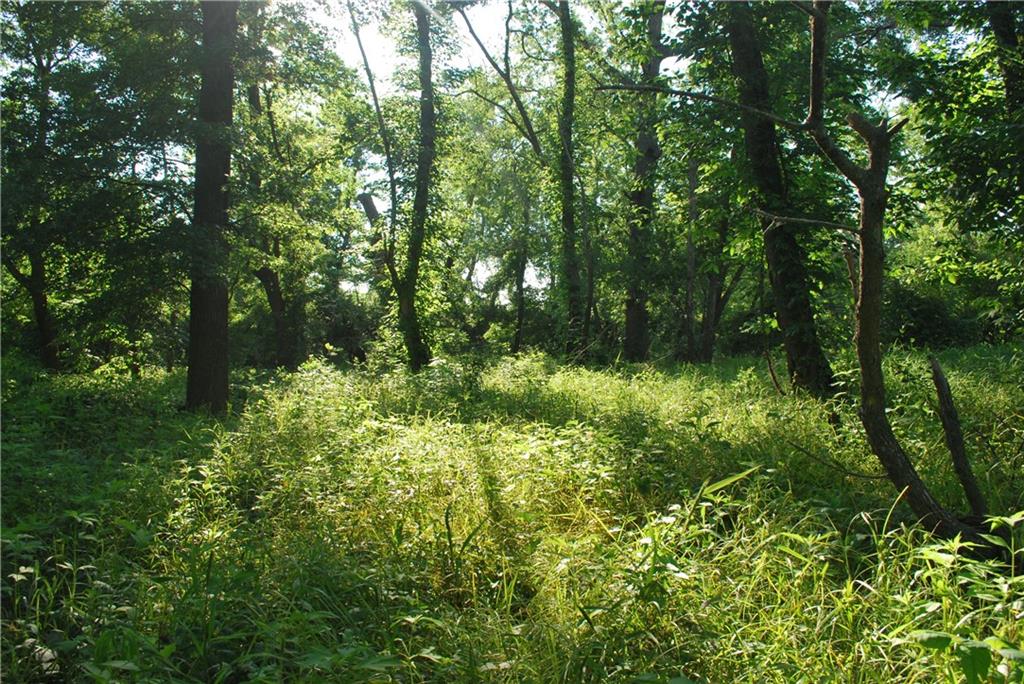 0000 Cr 371 N/a Property Photo 48