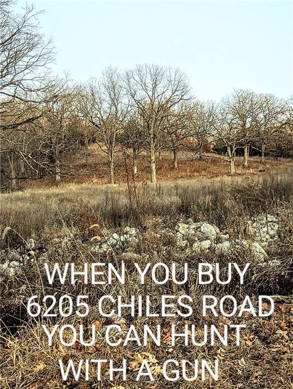 6205 S Chiles Road Property Photo 12