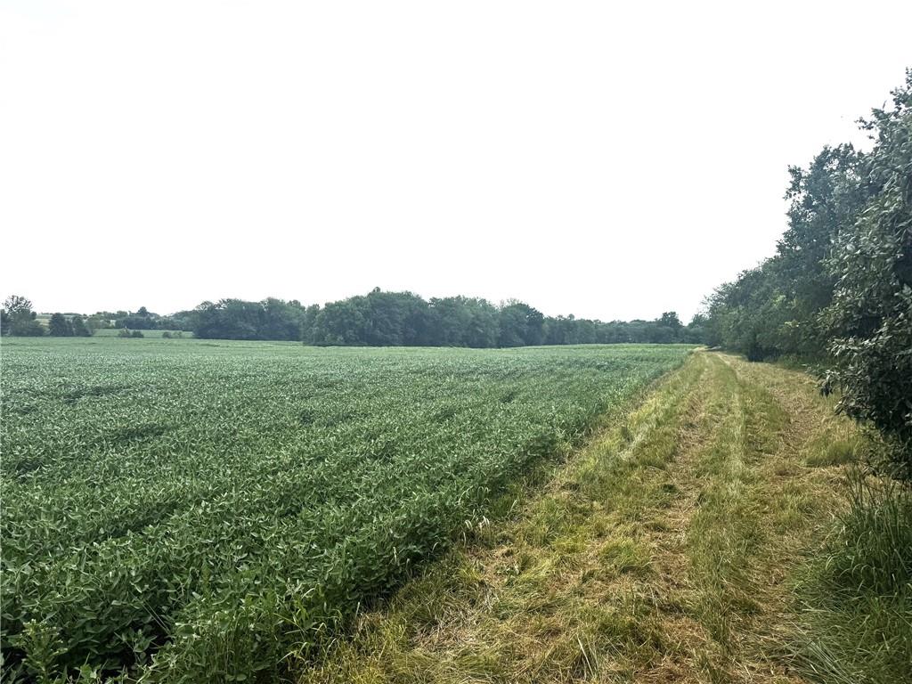 Tbd V Highway Property Photo 8