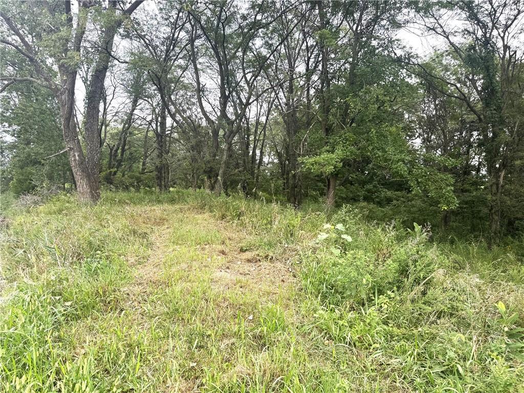 Tbd V Highway Property Photo 13