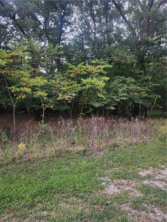 1 Live Oak Lane Property Photo 4