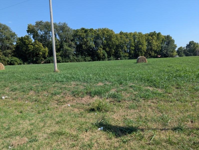 24 Hwy & Davis Road Property Photo 4