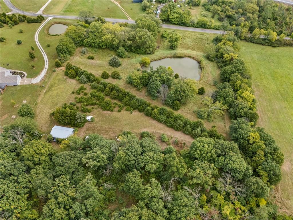 13216 Vines Road Property Photo 29