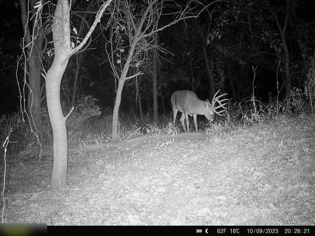 B Highway Property Photo 9