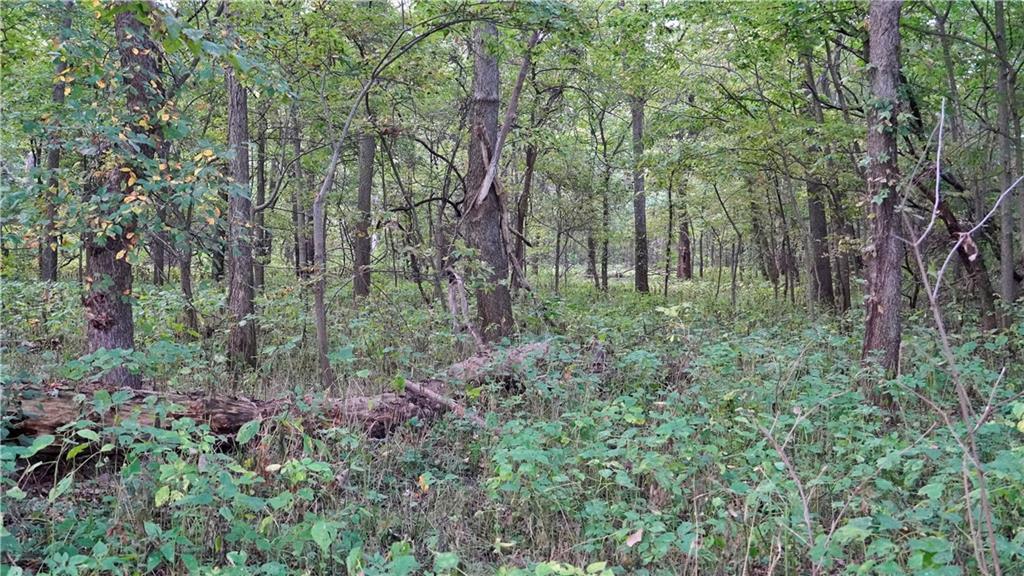 B Highway Property Photo 28