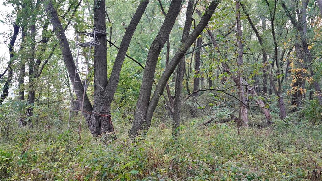 B Highway Property Photo 29