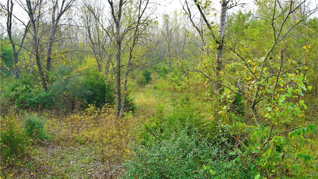 B Highway Property Photo 32