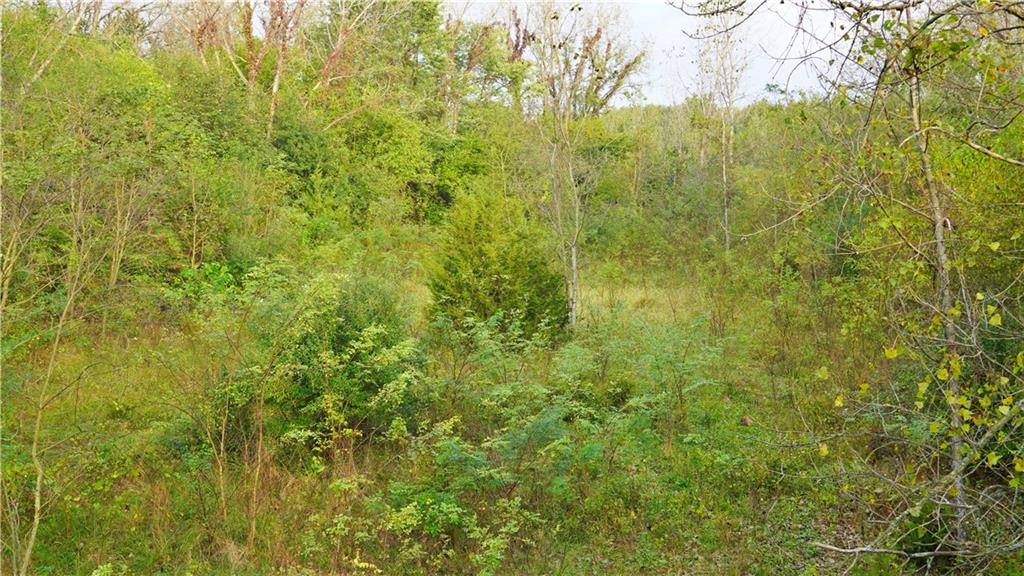 B Highway Property Photo 33