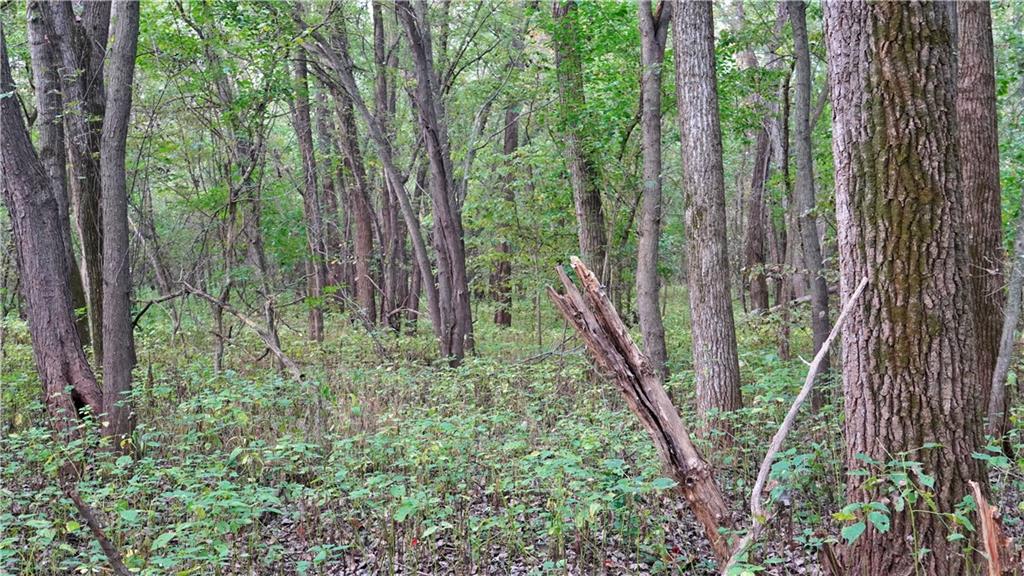 B Highway Property Photo 34