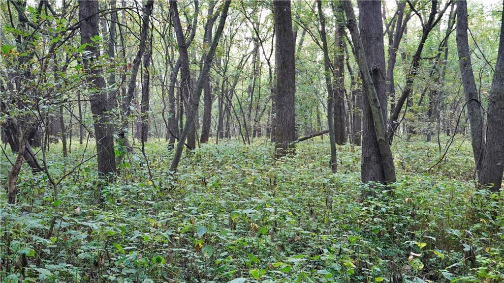 B Highway Property Photo 35