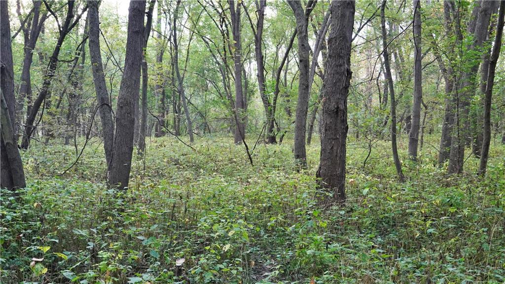 B Highway Property Photo 36