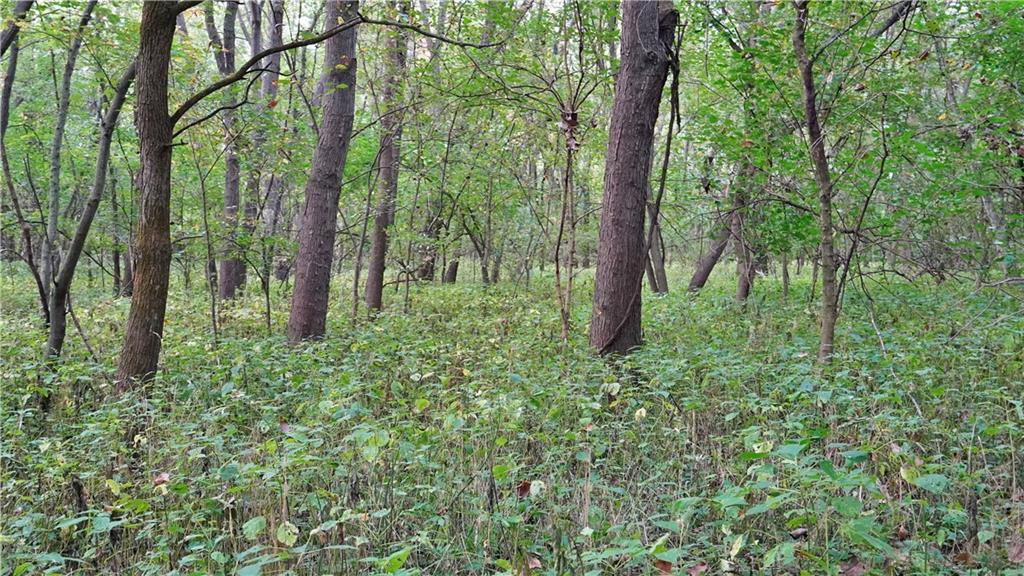 B Highway Property Photo 37