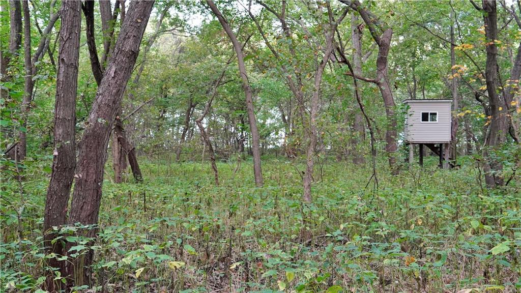 B Highway Property Photo 38
