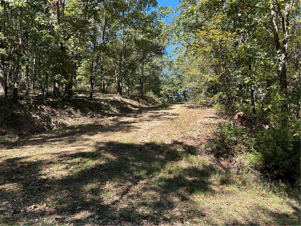 Off Kip Drive Property Photo 2