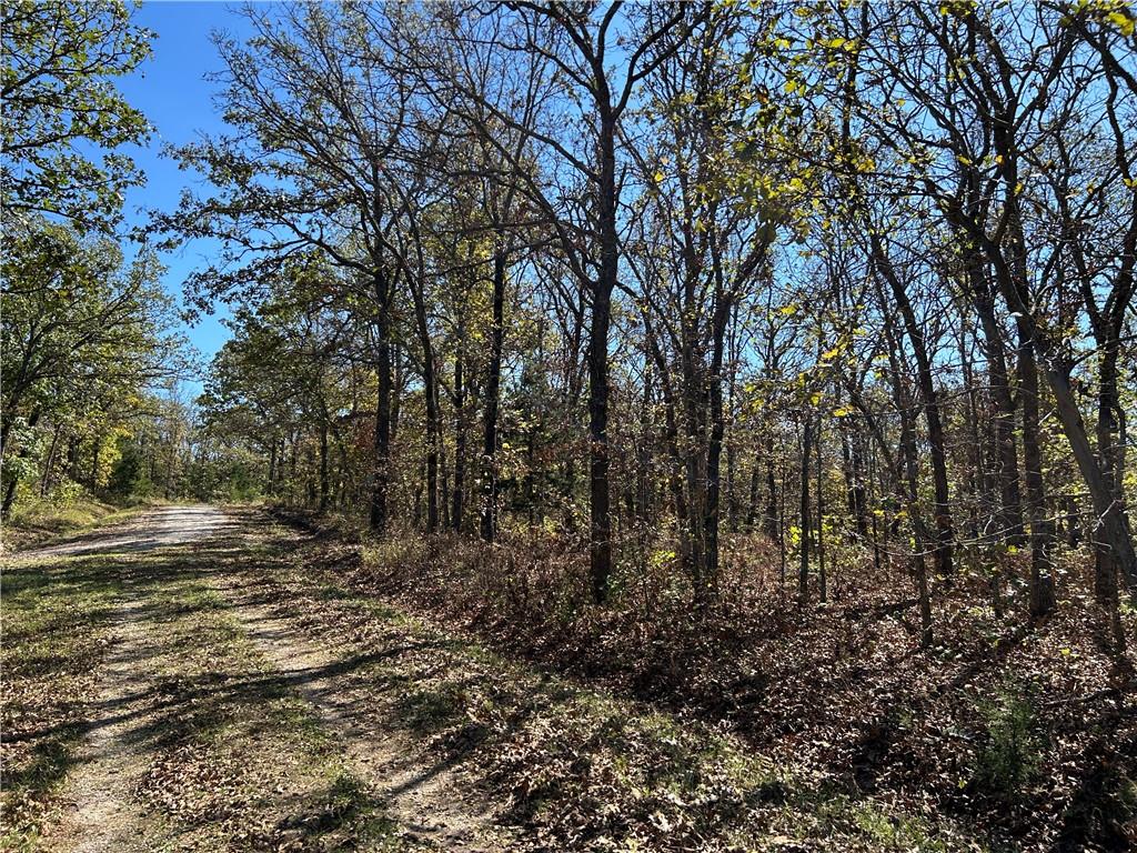Off Kip Drive Property Photo 4