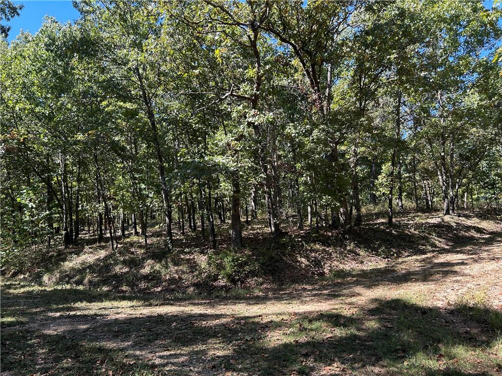 Off Kip Drive Property Photo 6