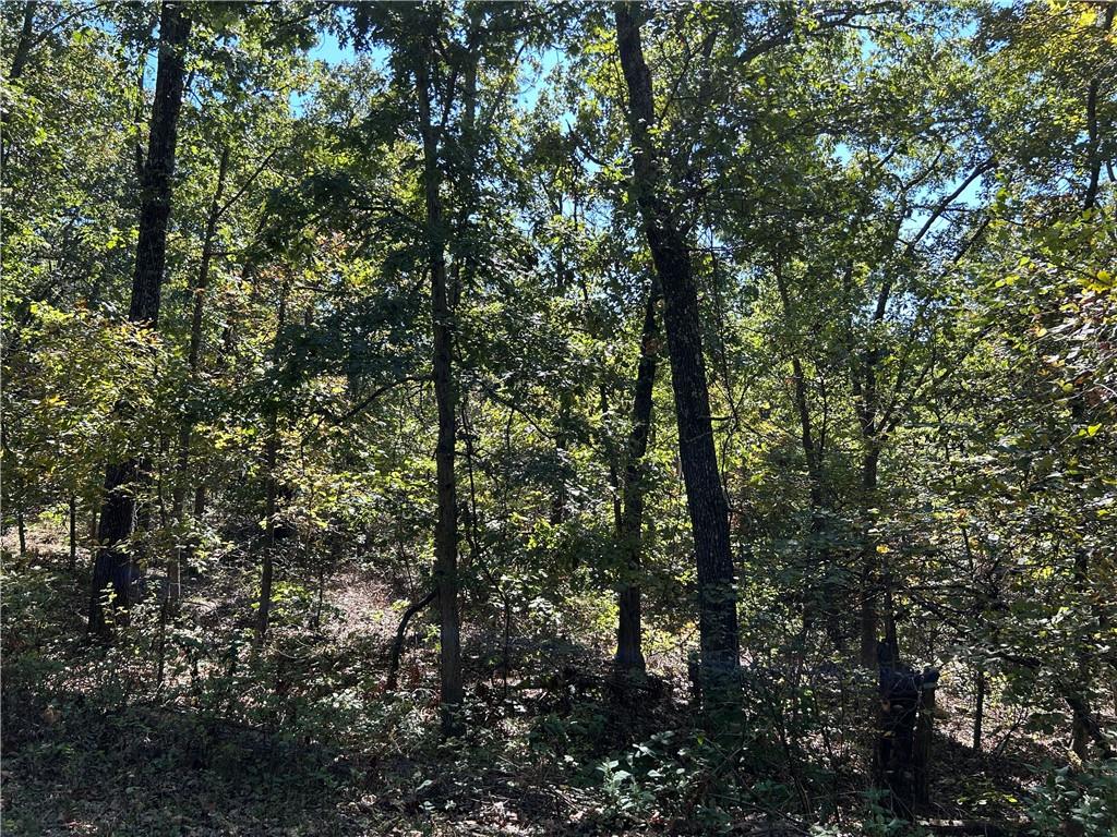 Off Kip Drive Property Photo 8