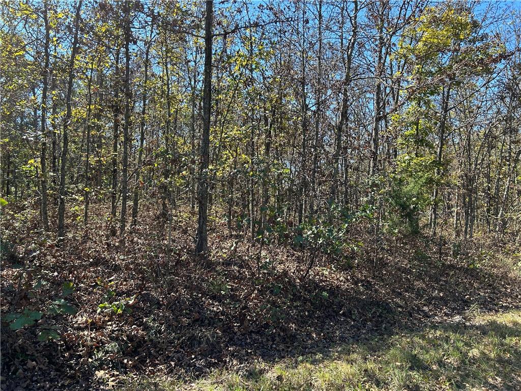 Off Kip Drive Property Photo 10