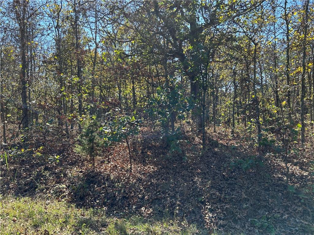 Off Kip Drive Property Photo 11