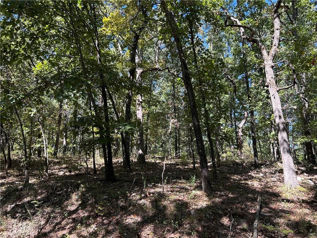Off Kip Drive Property Photo 12